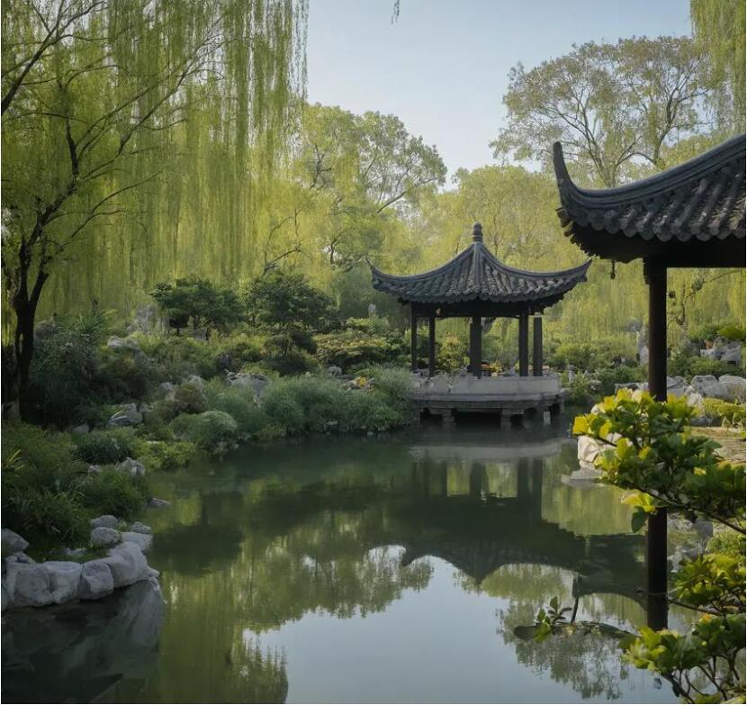 芜湖镜湖雪柳餐饮有限公司